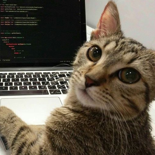 Мартовский кот