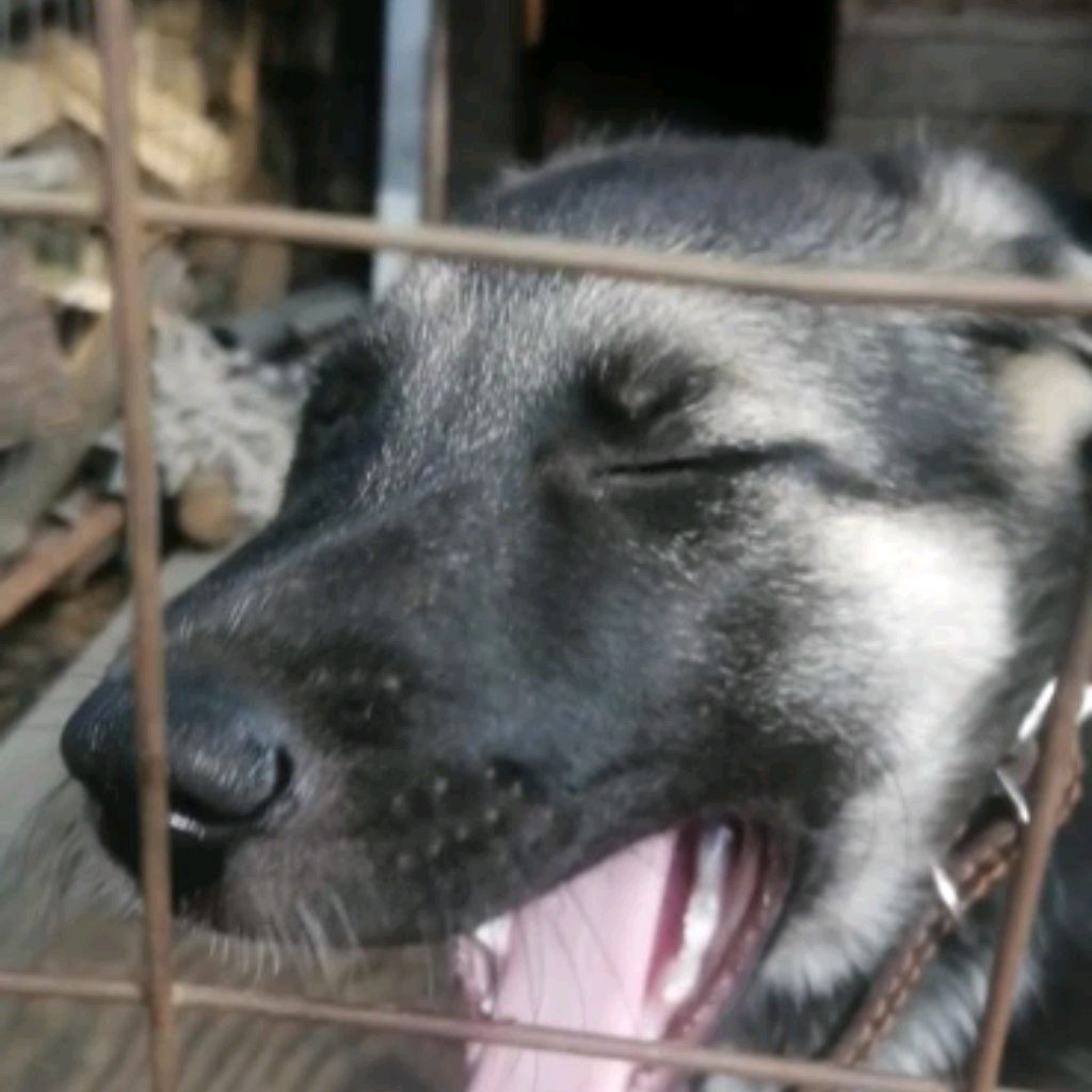 *+:｡.｡ТАТЬЯНА｡.｡:+*