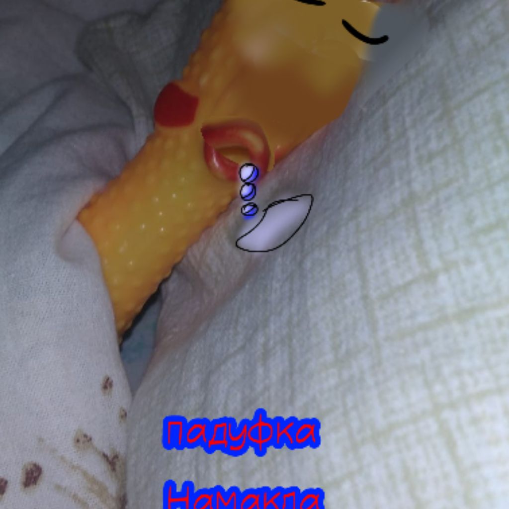 Masha†‡†‡2281488