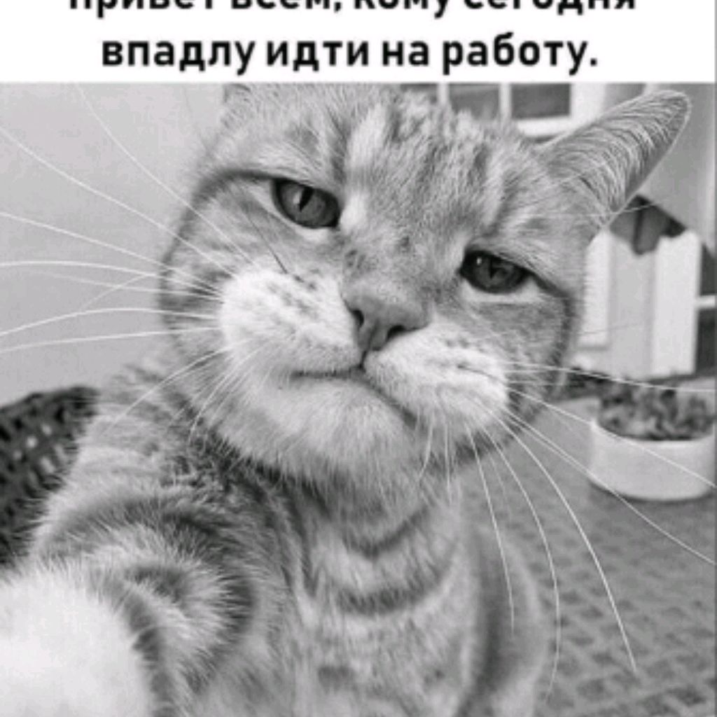 А Мне Так Пох...😂