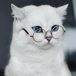 ХАРАКТЕРНАЯ МЕДЬ