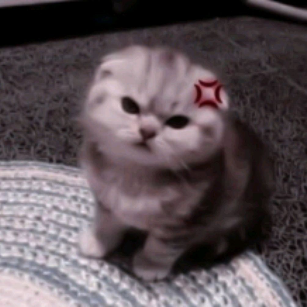 🐾3 бухарика🐾