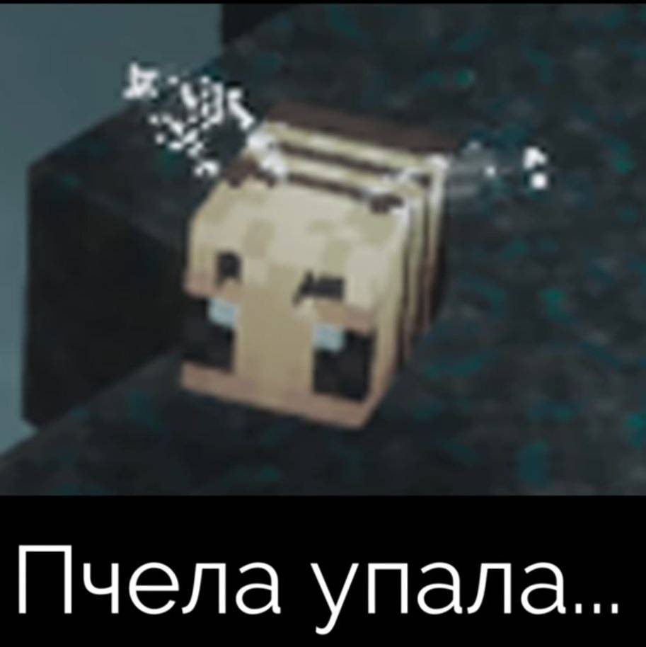 Maks_Play2013