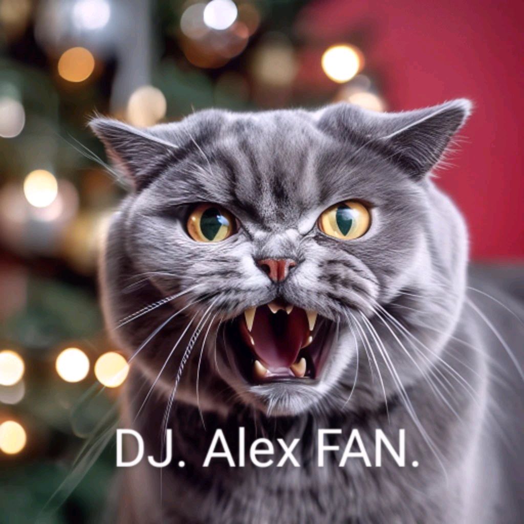 DJ. Alex FAN.