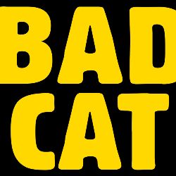 BAD CAT38