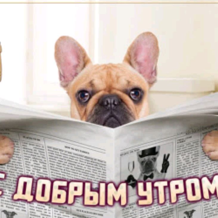 суперкот