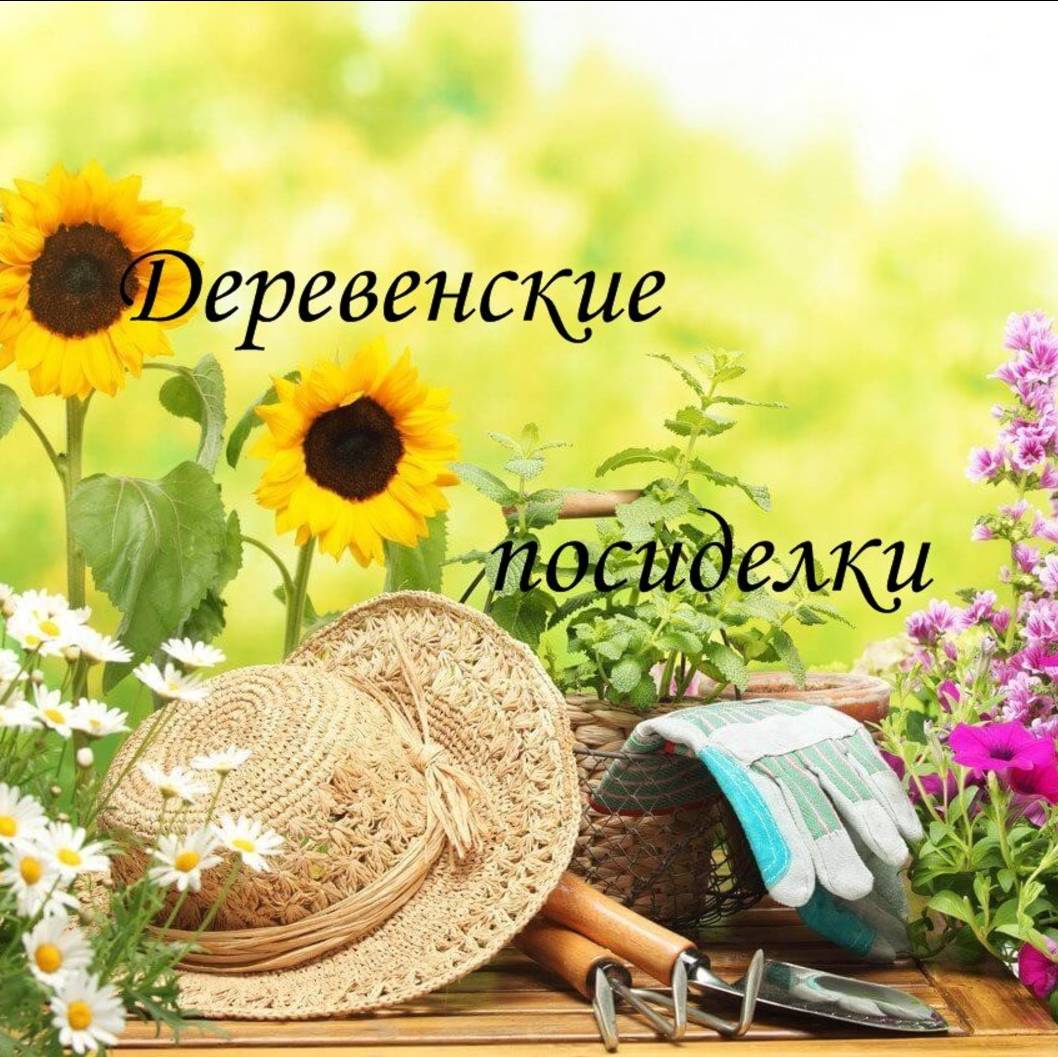 Деревенские посиделки