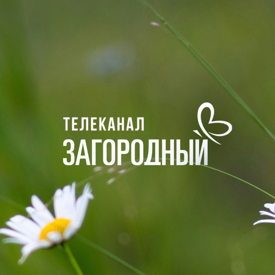 Загородный