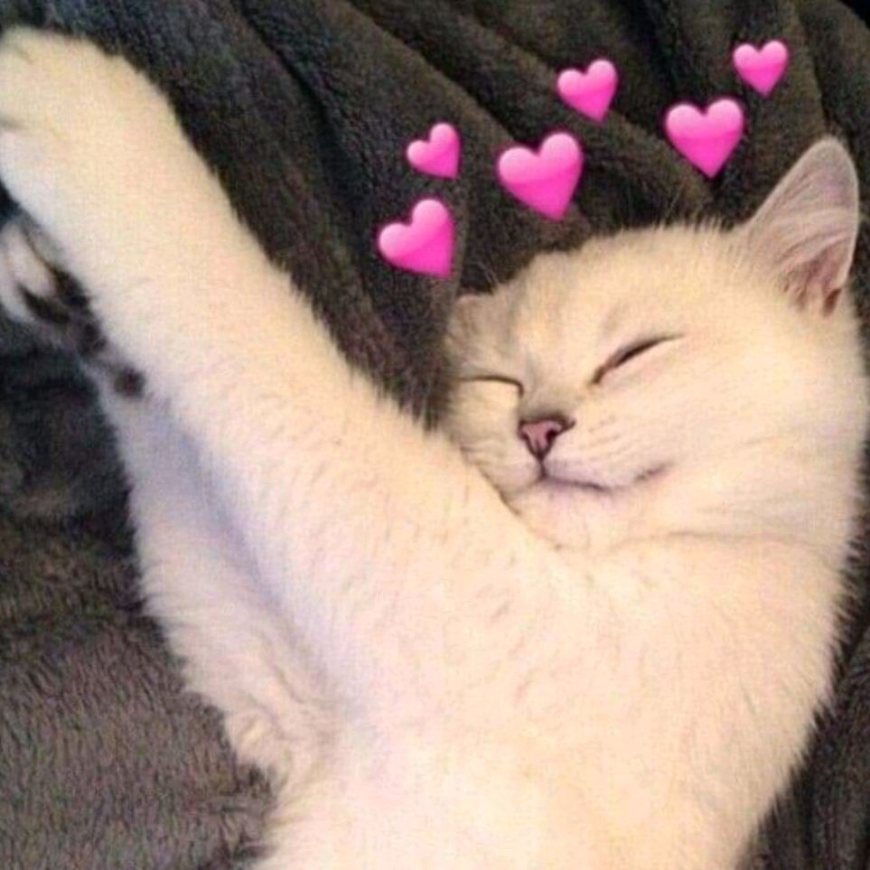 Kaтя💗