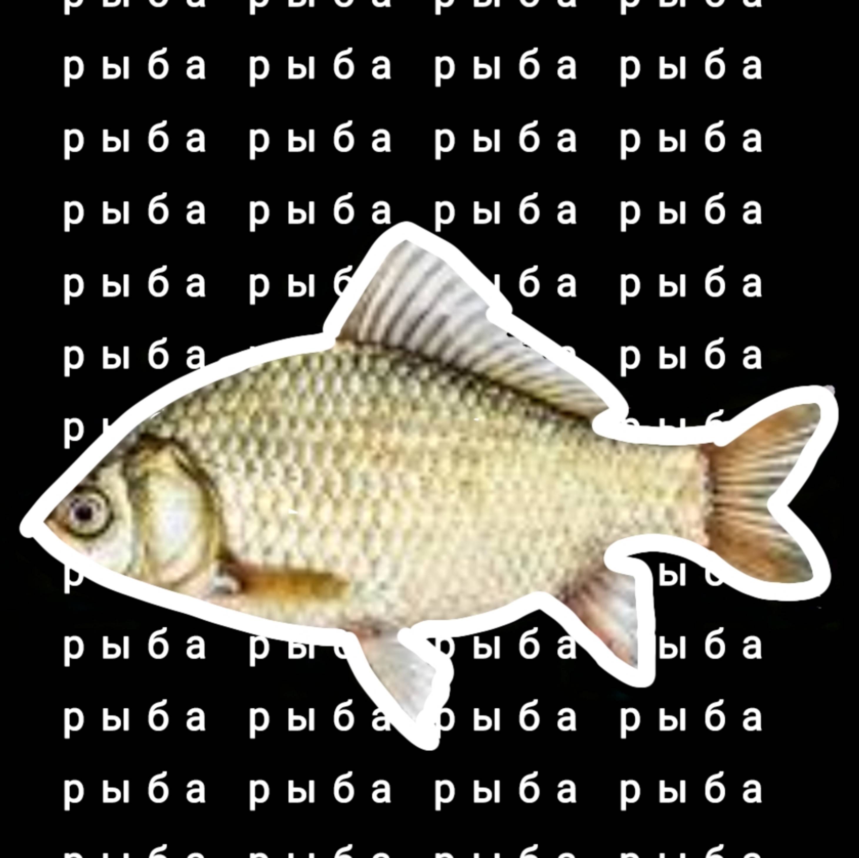 РЫБА