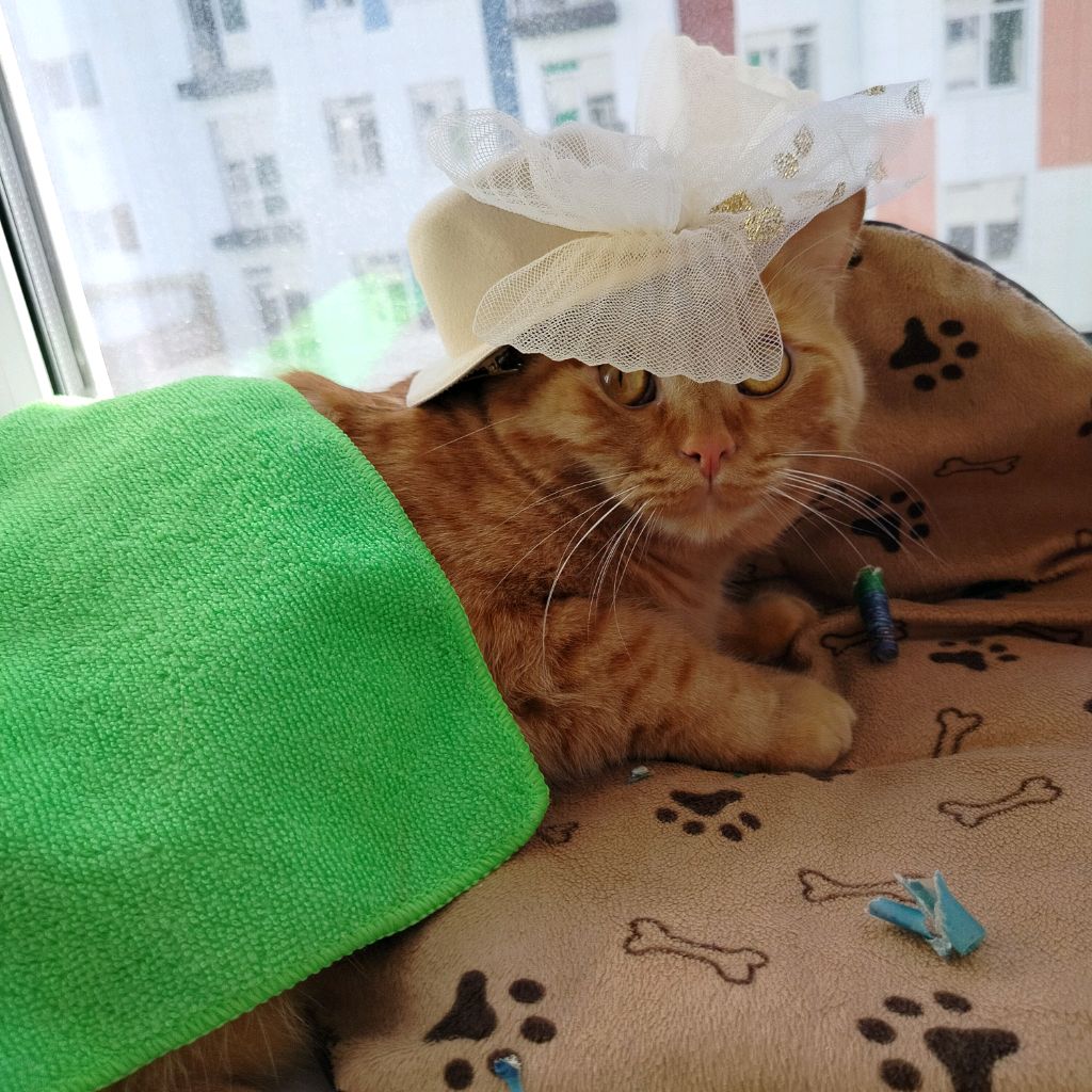 ЛераМур