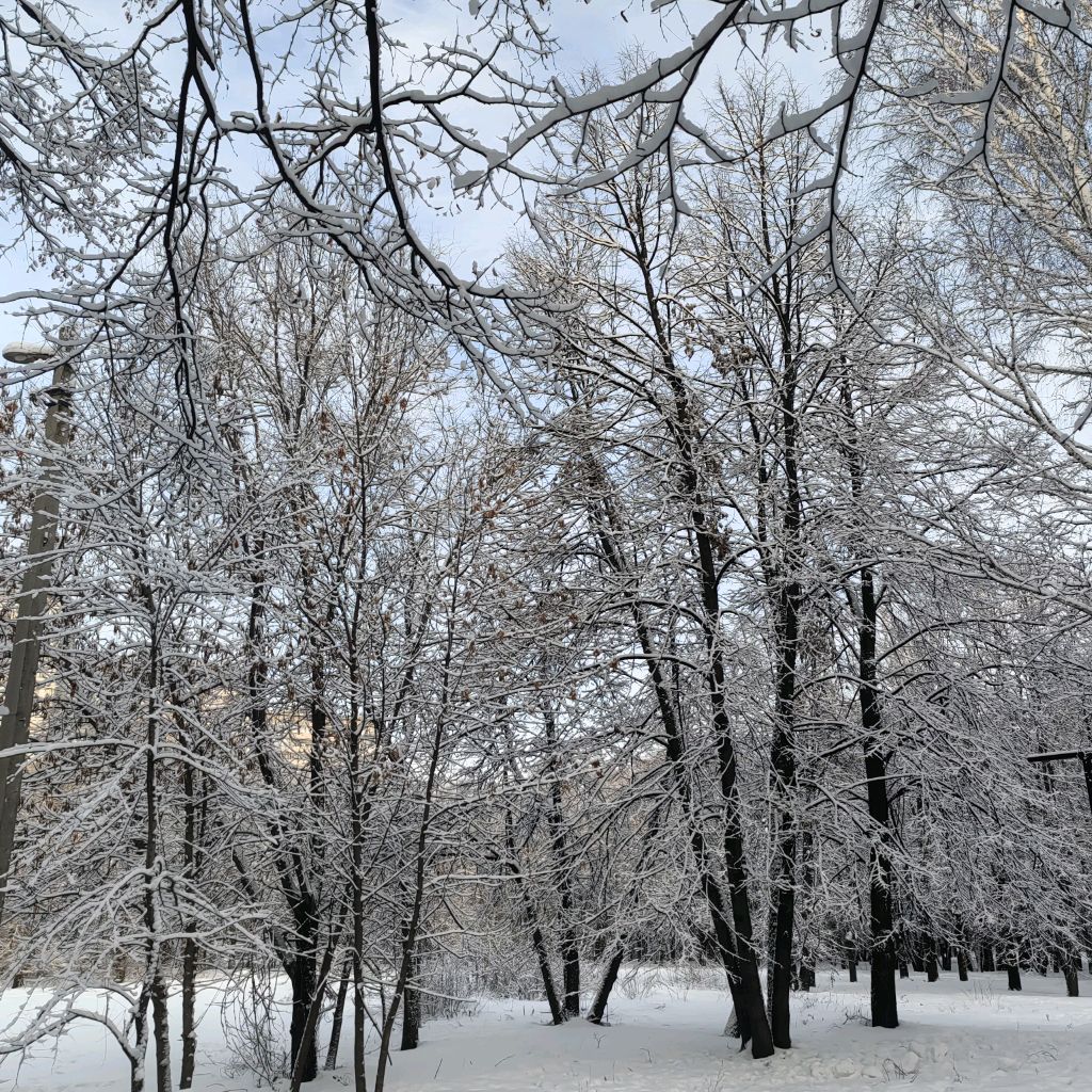 Лиса Патрикеевна