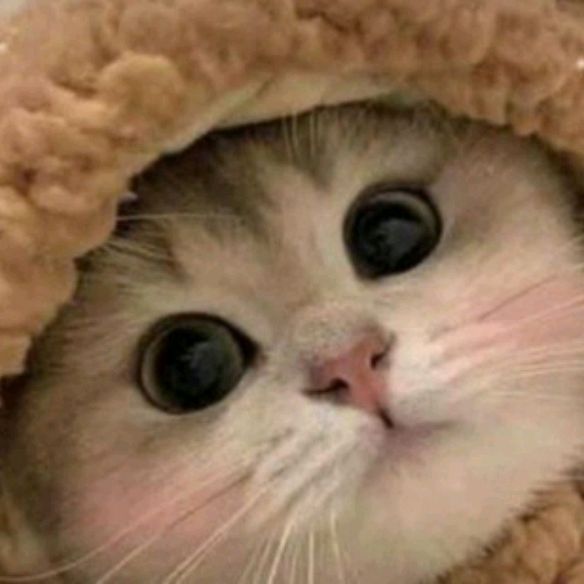 Саша
