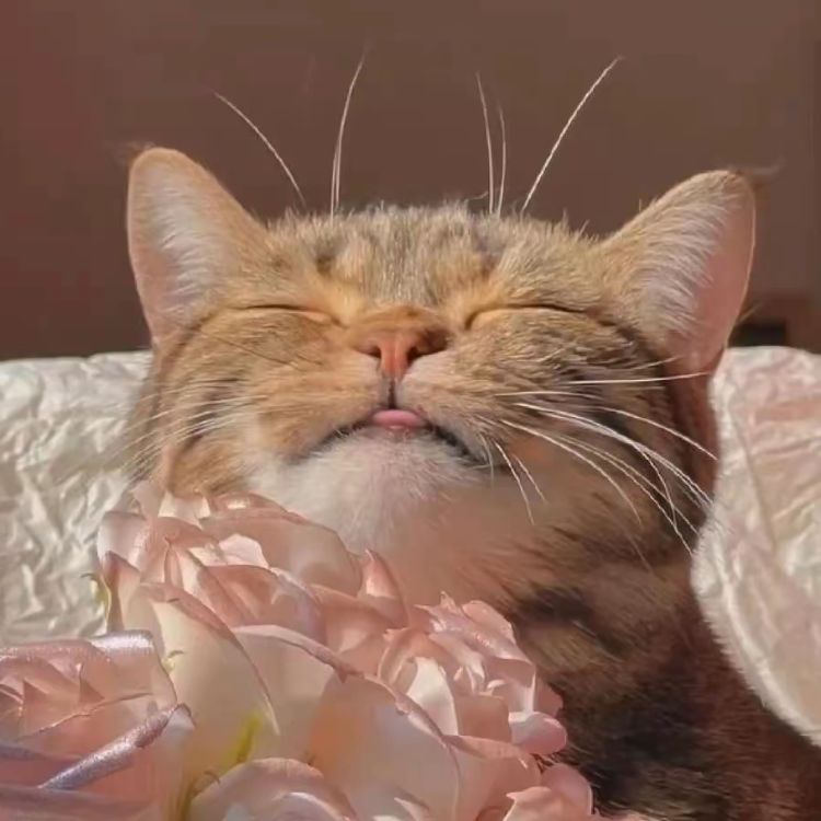 Дорамы и улей❤️🩹