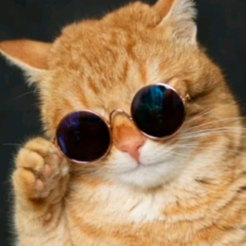КОТЯРА