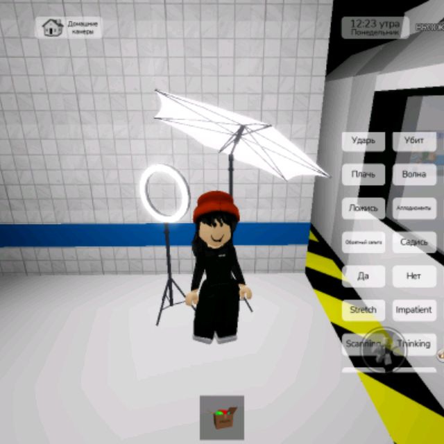 Катикат