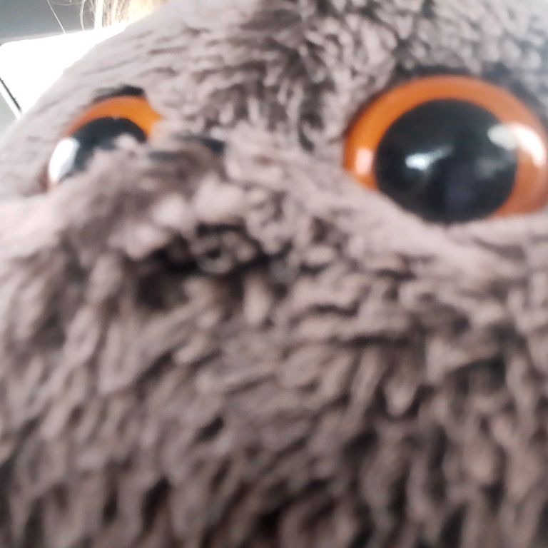 Бас-TV 😸🐾