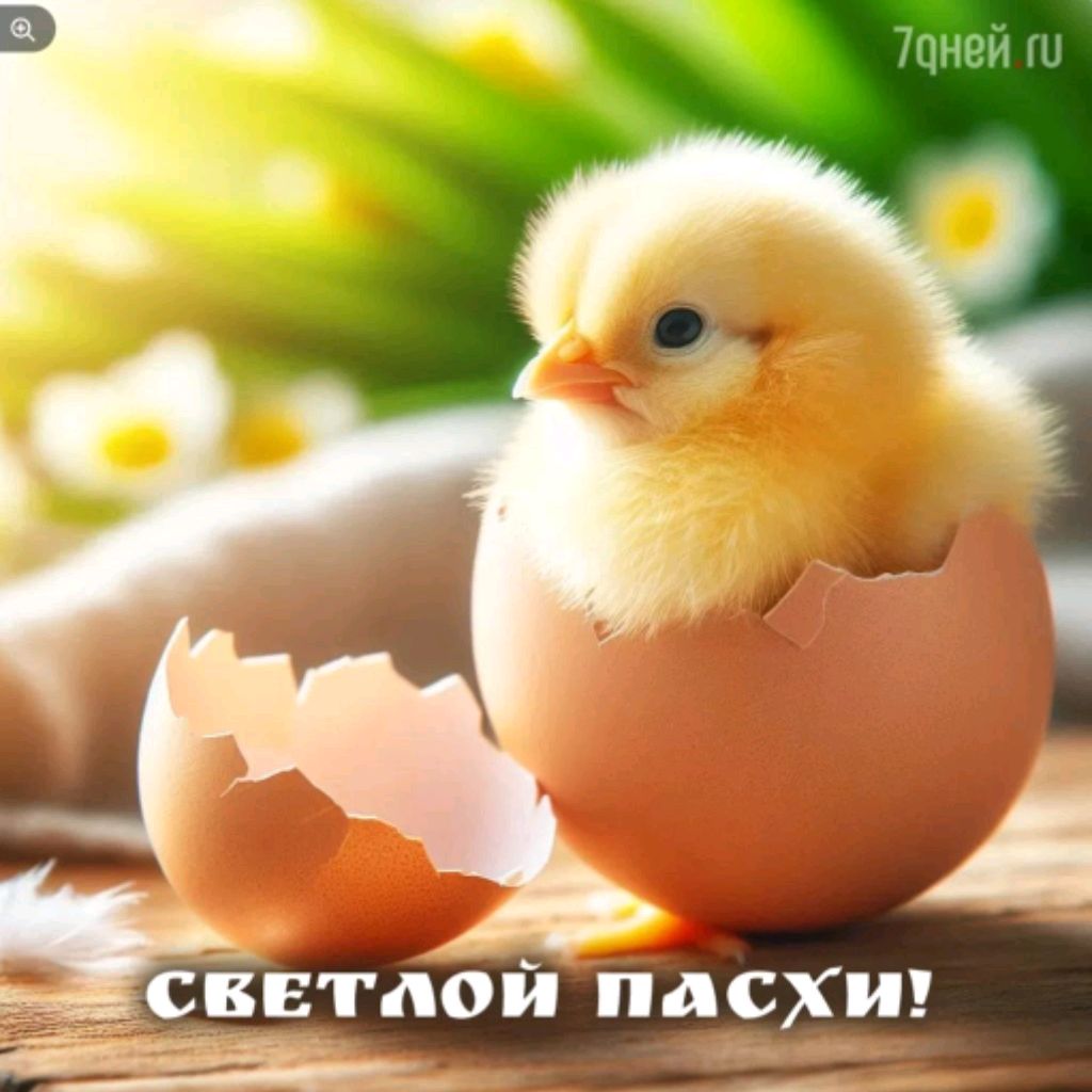 Настя Кэт