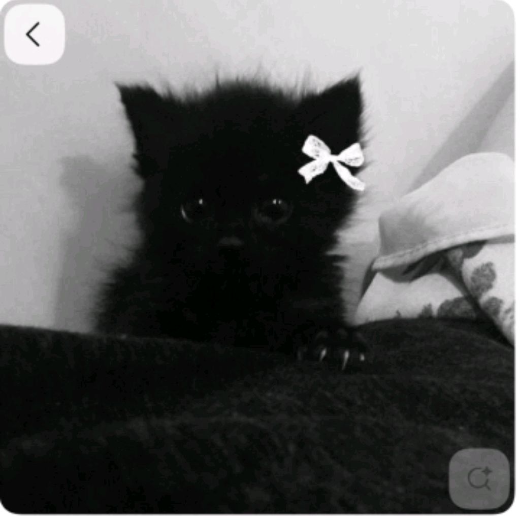 Kuromi672220
