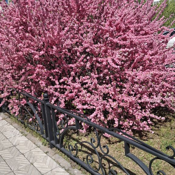 Александра 