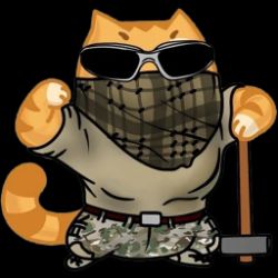 Дмитрий Кошкин