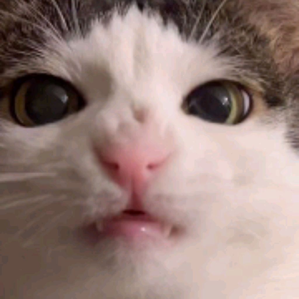 Светлая