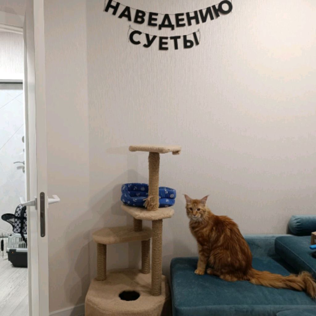 В_о_о_б_р_а_ж_е_н_и_е