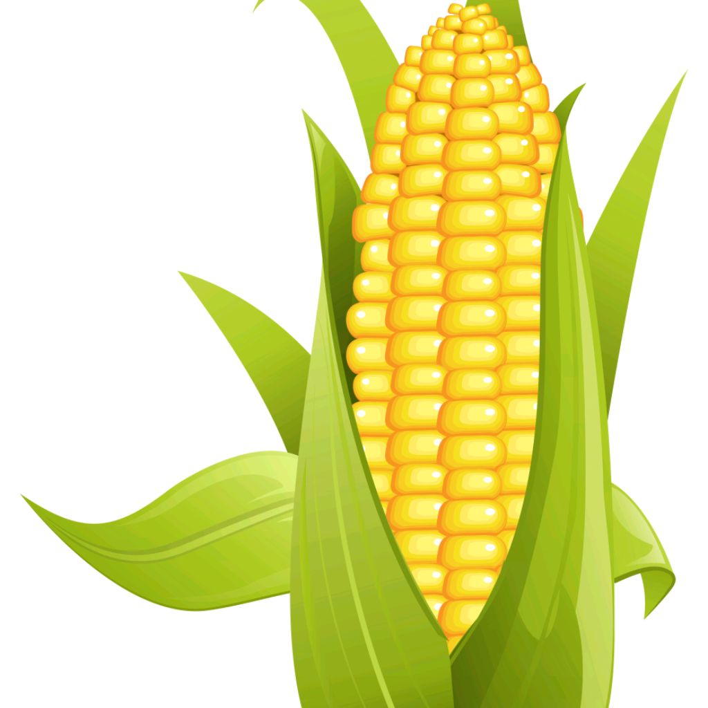 MaizeGame