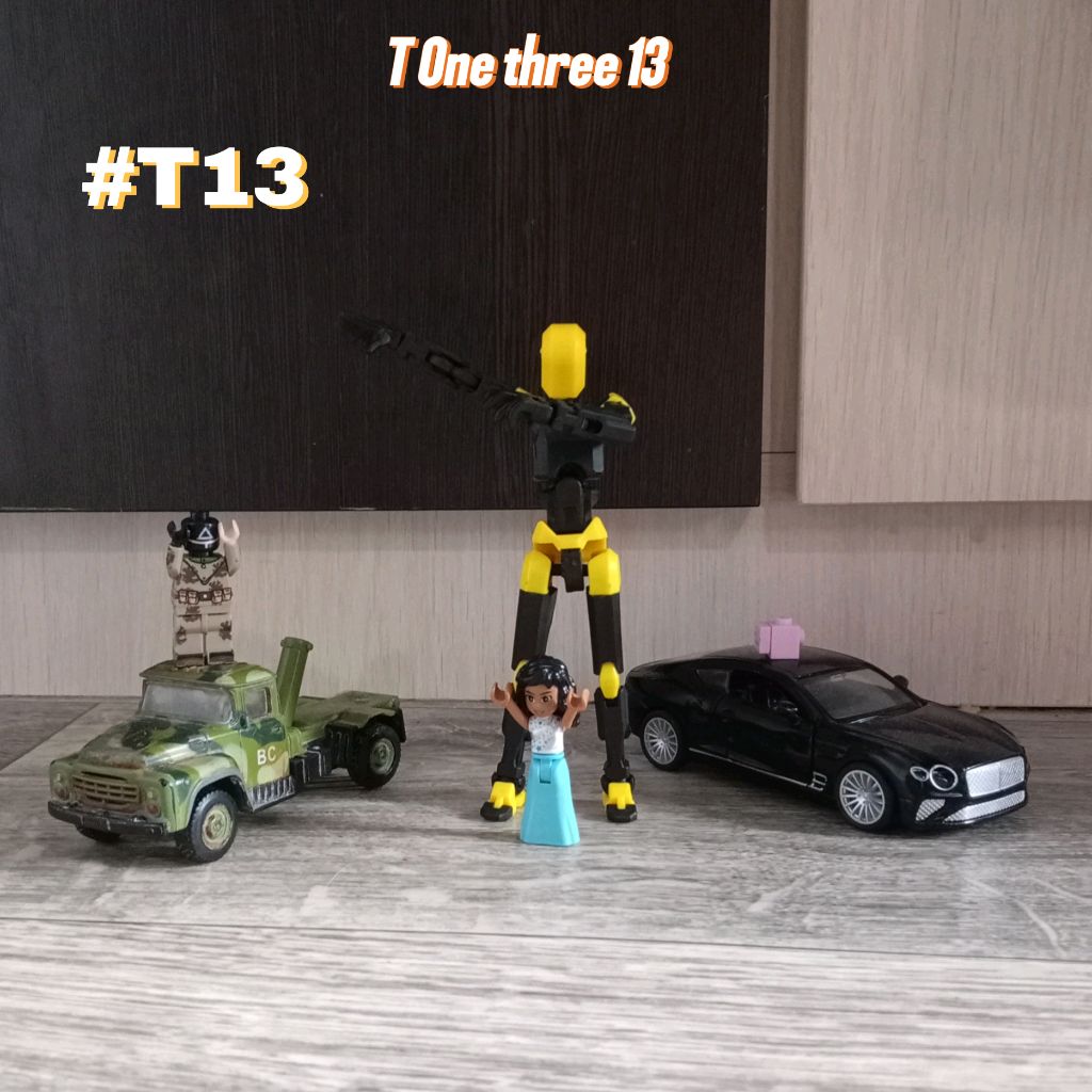 T one three 13