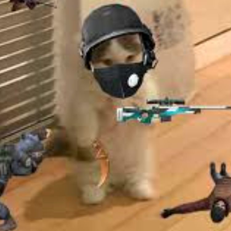Call of Duty.
