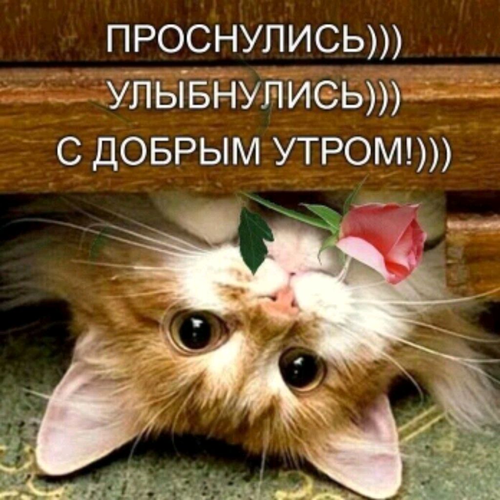 Я Ангелина