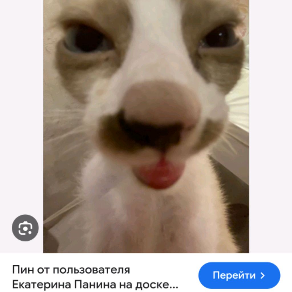 Блин 🥞