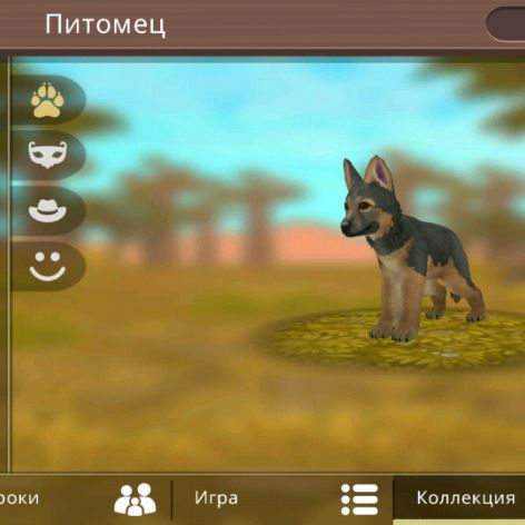 Sharhan/Voin/Это ники в Wildcraft