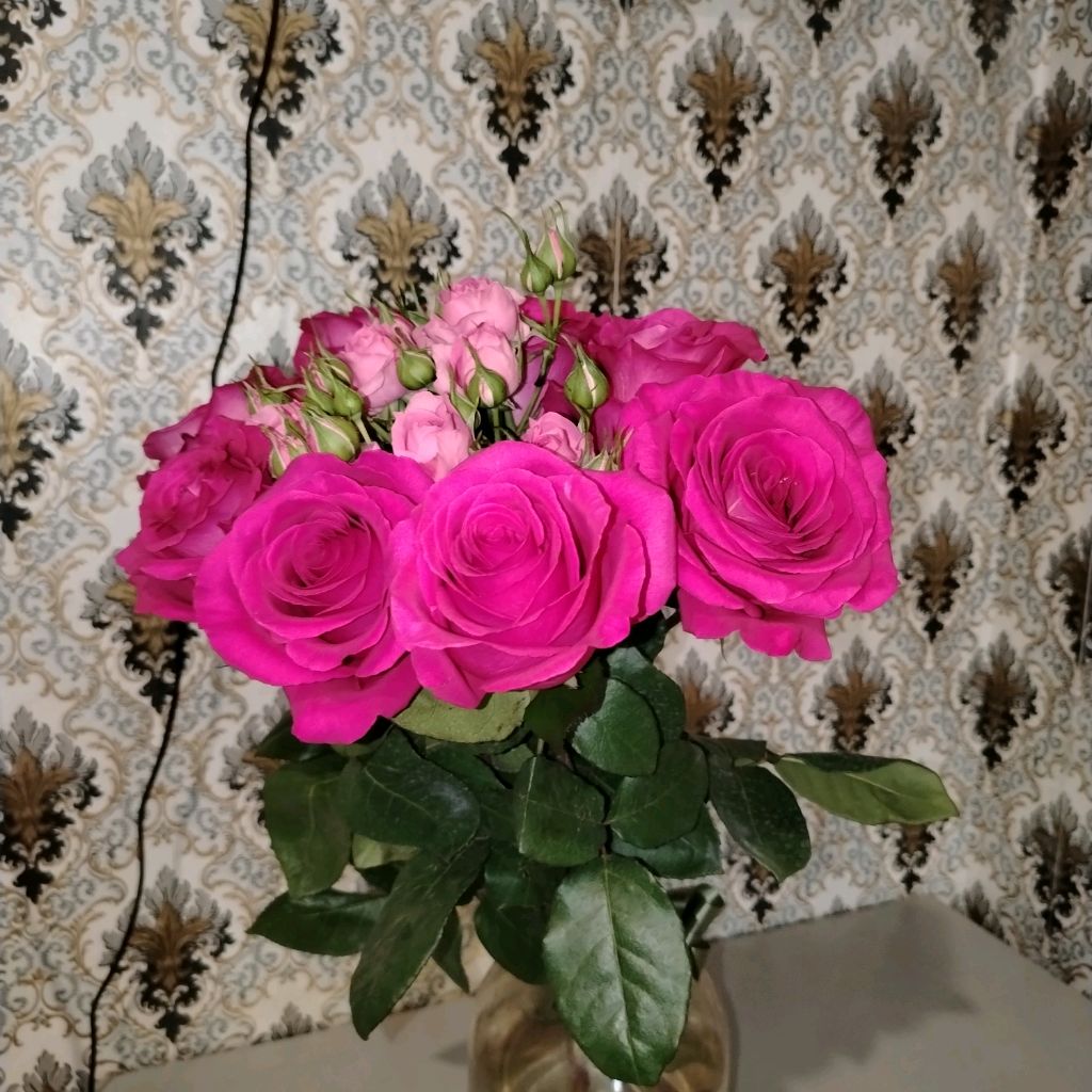 Алина