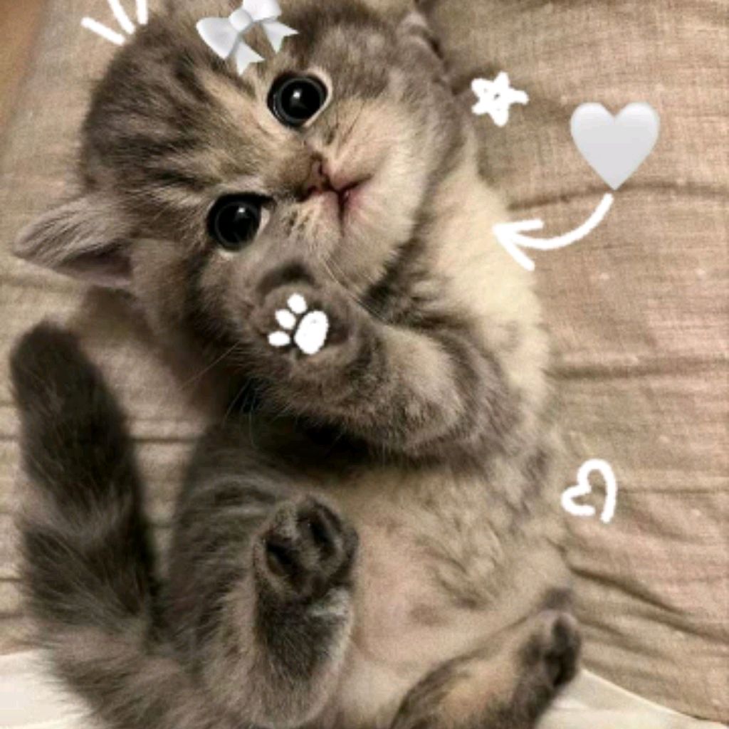 (^o^)Настя(^o^)