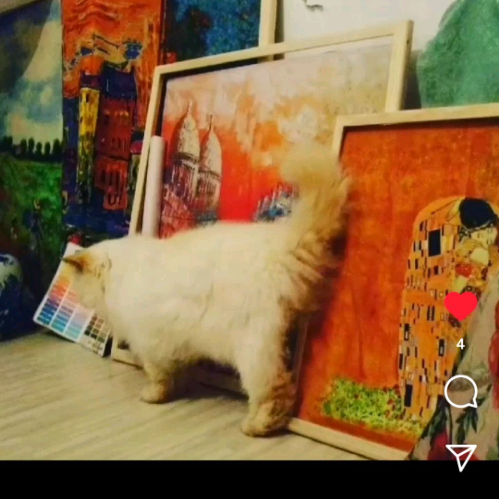 Шëлковая гармония от Л&А&N