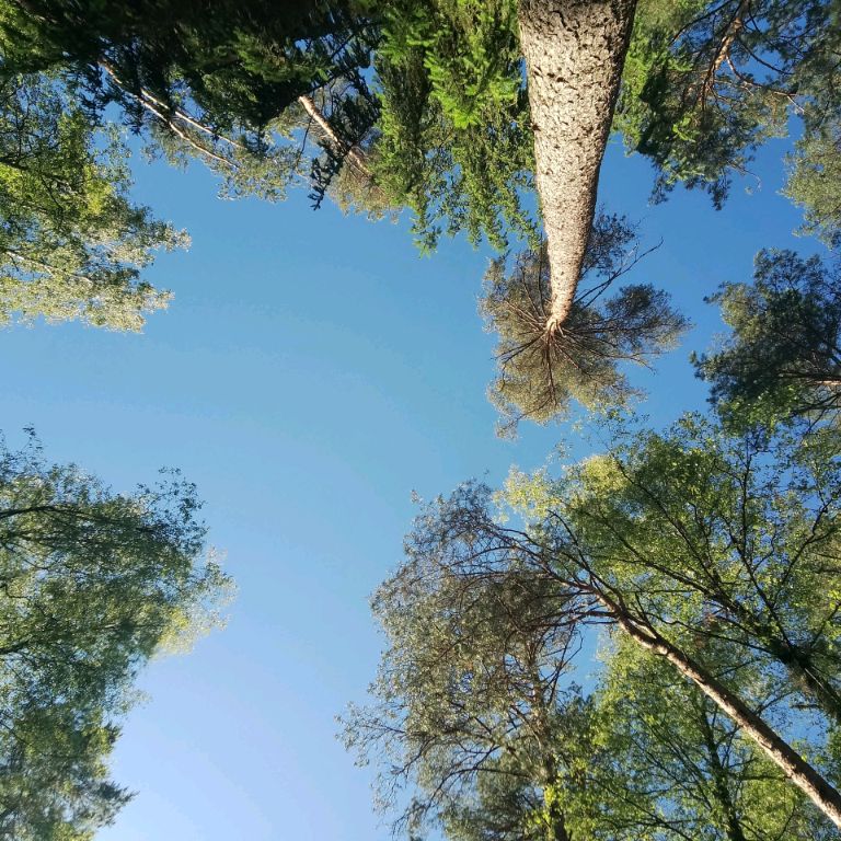 Н.