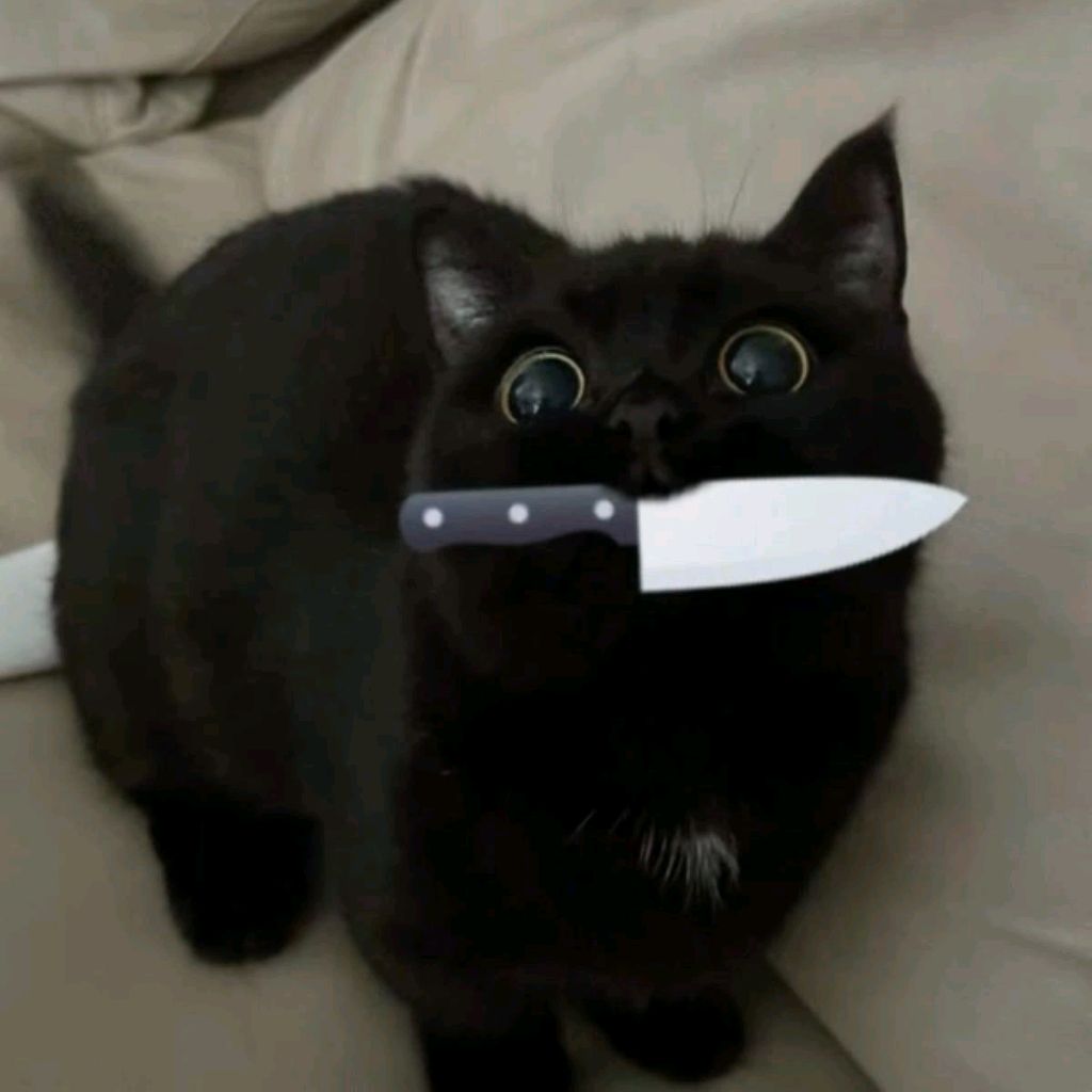 Котя Лапкин