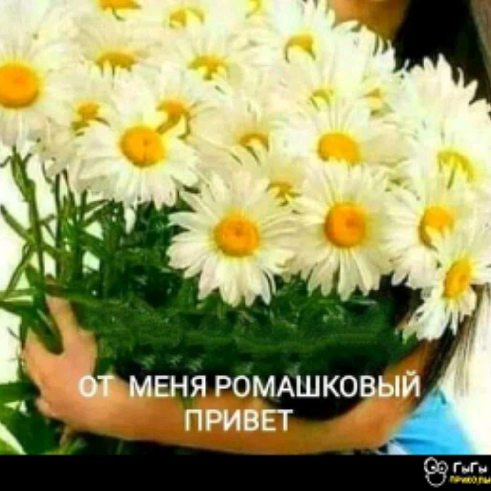 Хлопоты