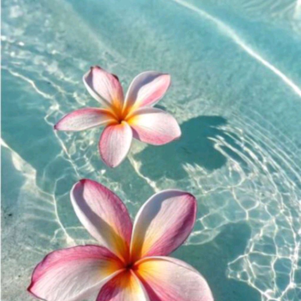 Летний вайб! 🌸✨