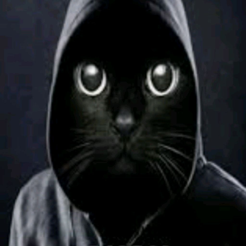 Coollkid