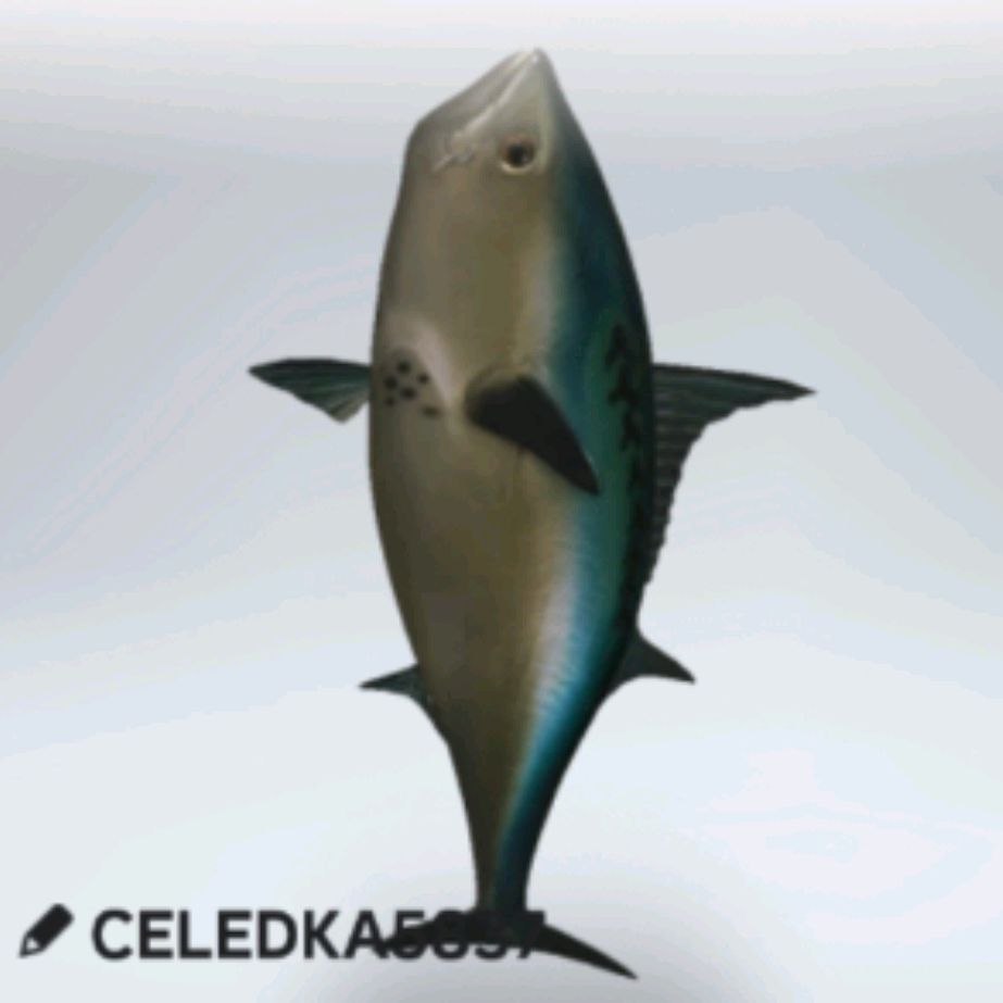 Селёдка3008