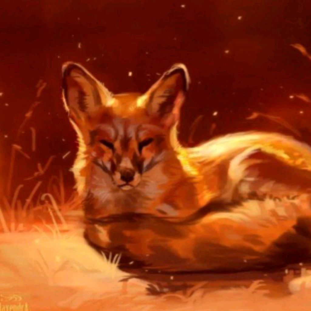 Foxsis