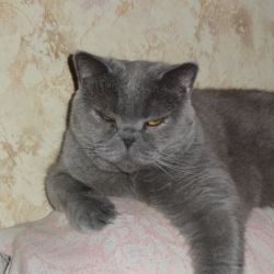 Павел Бычков