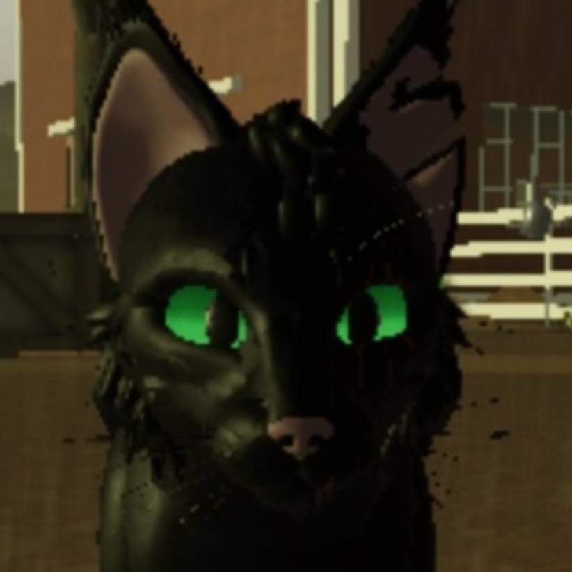 ◆•° 𝙱𝚕𝚊𝚌𝚔 𝙴𝚊𝚛 °•◆ {𝙺𝙱}