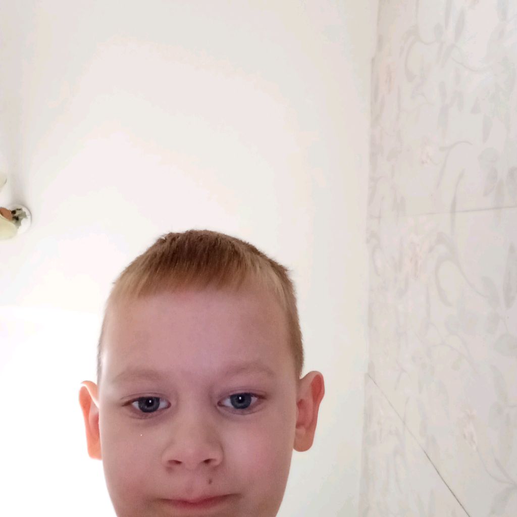 какашка