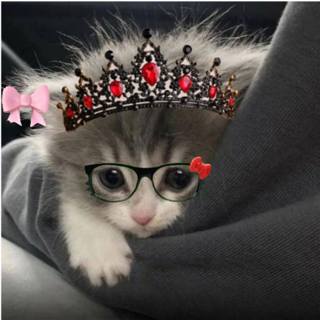 ~КотикPley...)