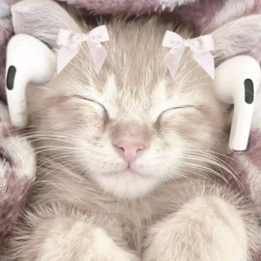 Фан Кошки Ланы🎀
