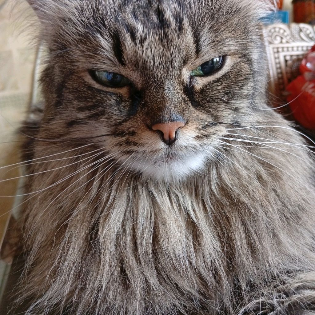 Марина Б