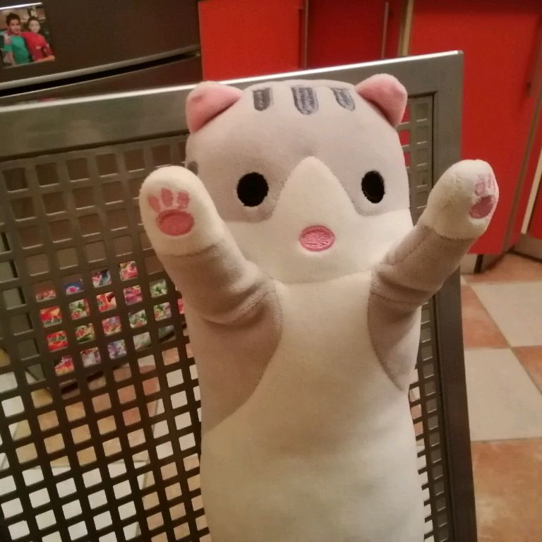 Кот Арпот